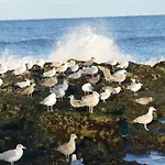 Wuenschmann 4* Westerland