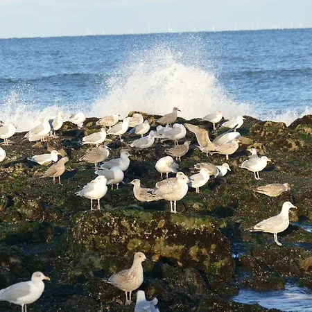 Wünschmann 4* Westerland