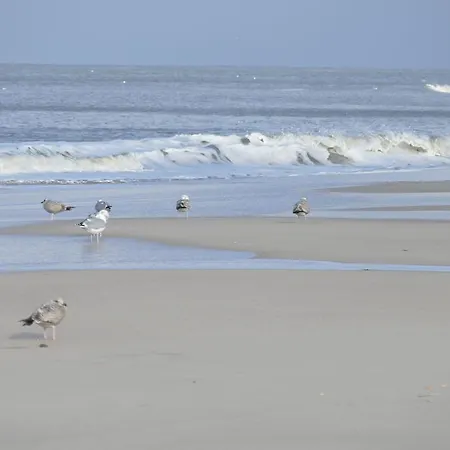 Wünschmann Westerland