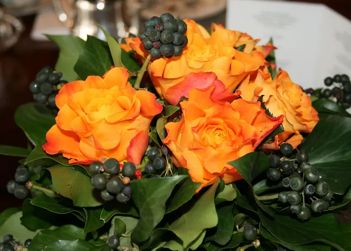 Wuenschmann Hotel Westerland