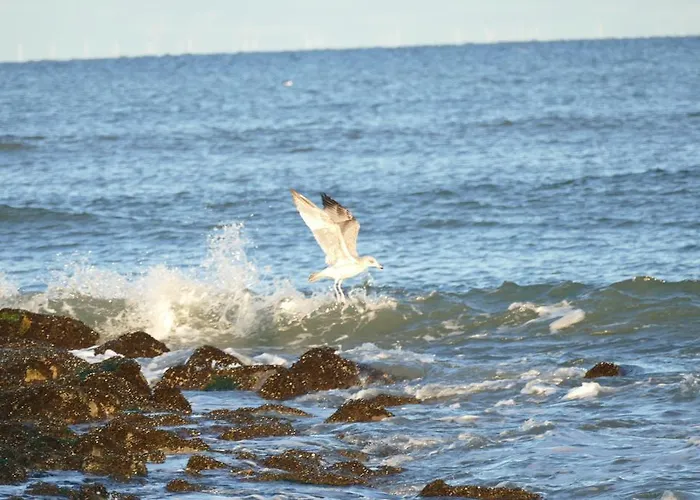 Wuenschmann 4* Westerland