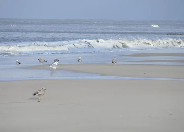 Wuenschmann Westerland