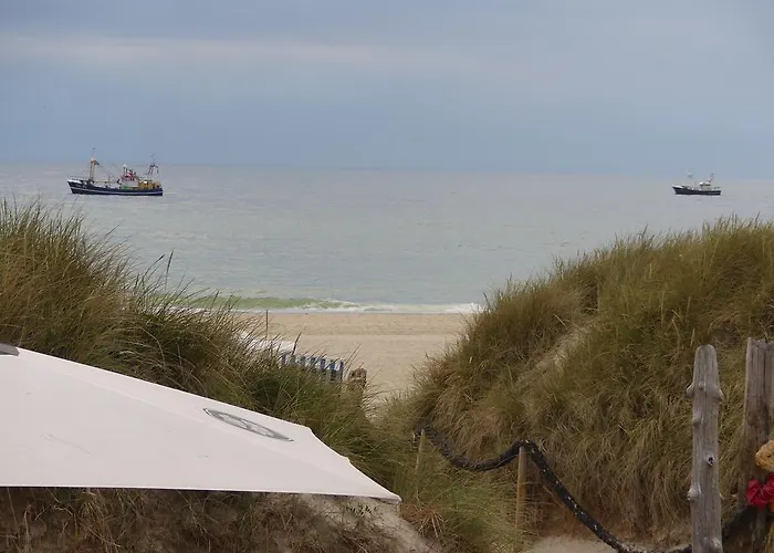 Wünschmann 4*