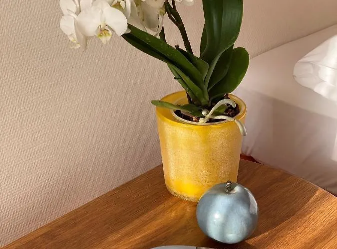 Wuenschmann Hotel 4*